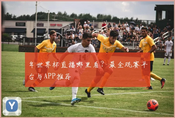 年世界杯直播哪里看?最全观赛平台与APP推荐