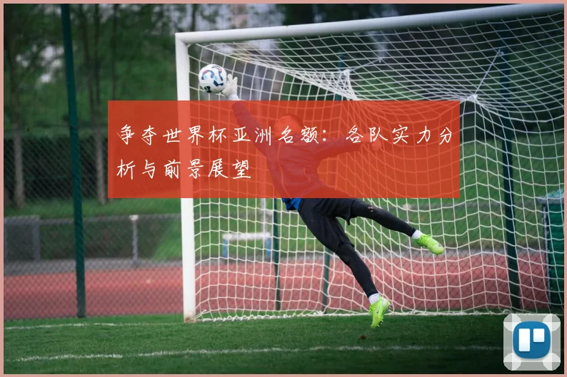 争夺世界杯亚洲名额:各队实力分析与前景展望