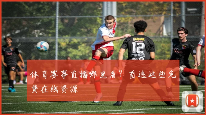 体育赛事直播哪里看?首选这些免费在线资源